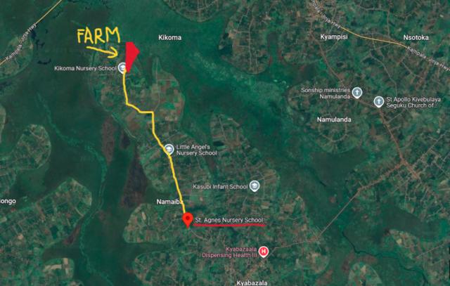Mappa del percorso dalla scuola alla fattoria