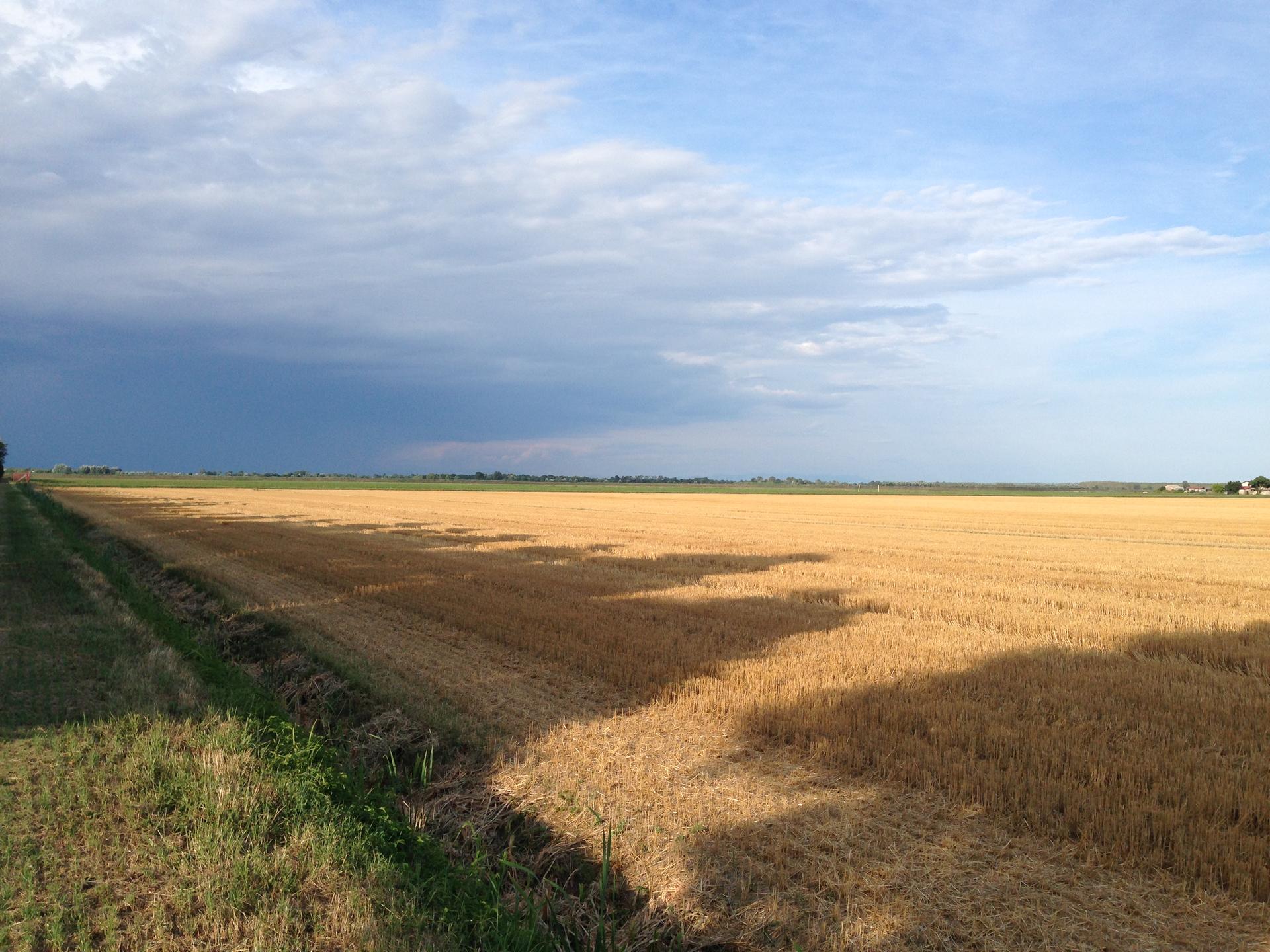 Un campo mietuto sotto un cielo carico di nuvole