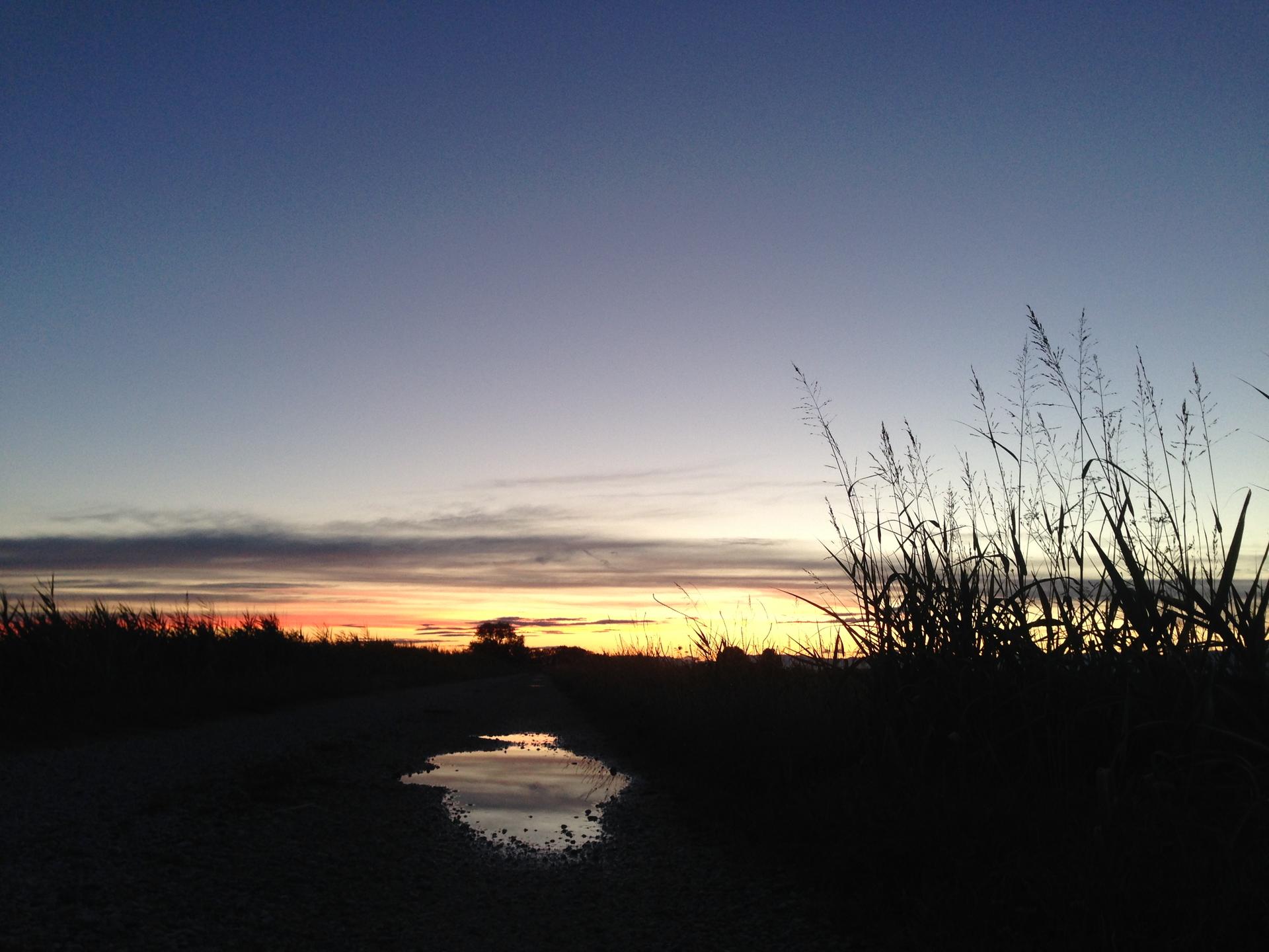 Tramonto sulla campagna di Marango, con una pozzanghera sulla strada