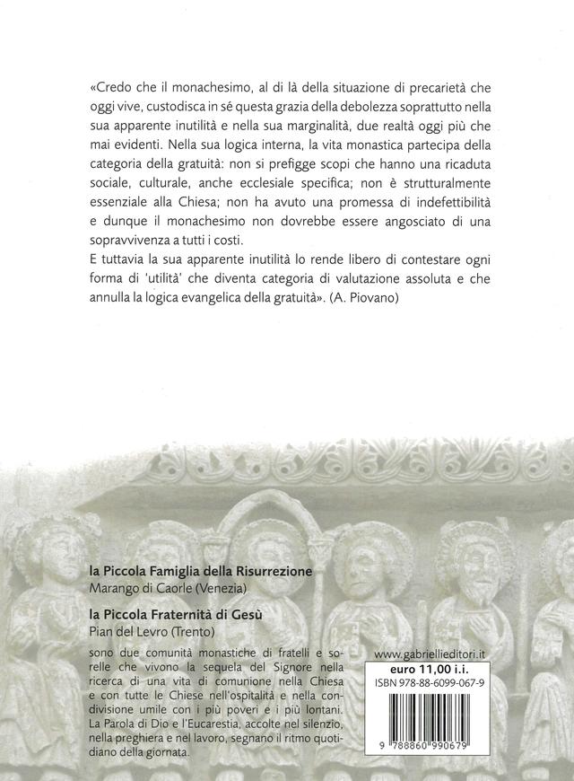 Quarta di copertina di Servi inutili