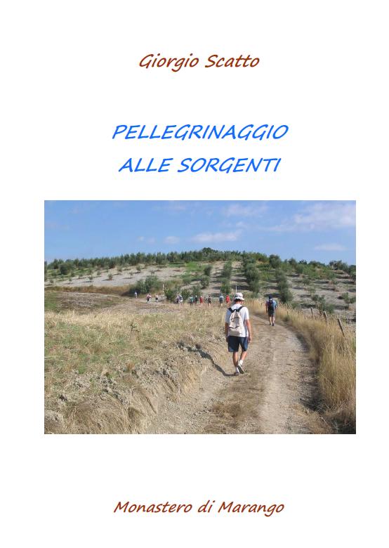 Copertina di Pellegrinaggio alle sorgenti, con un gruppo di pellegrini su un sentiero