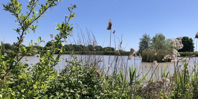 Thumb zlzvfl3